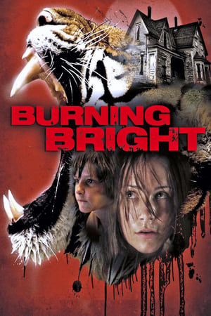 Burning Bright (2010) Hindi Dual Audio 300MB