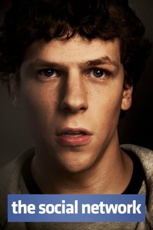 The Social Network 2010 Hindi Dual Audio 400MB